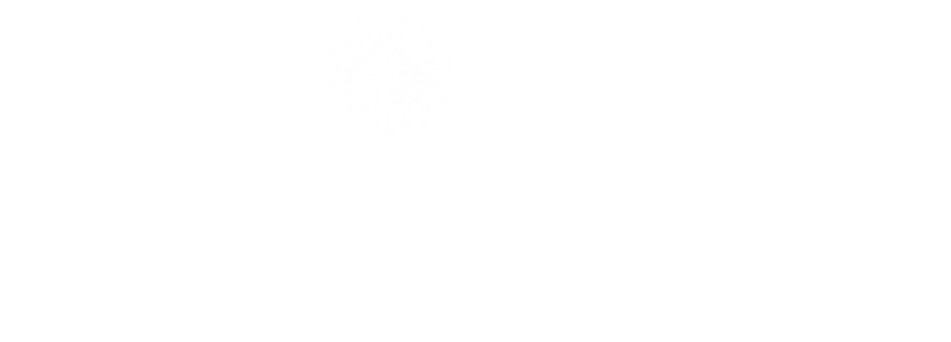 Dra. Nancy Paola Logo